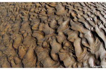 MudPatterns