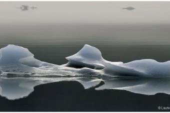 Icefloe In Fog