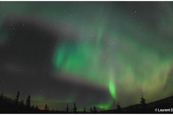 Aurora Over Healy