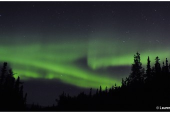 Northern Lights