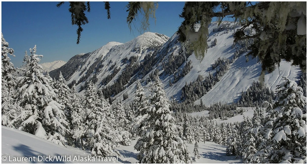 Eaglecrest Ski Area In April - (c) Laurent Dick - Wild Alaska Travel