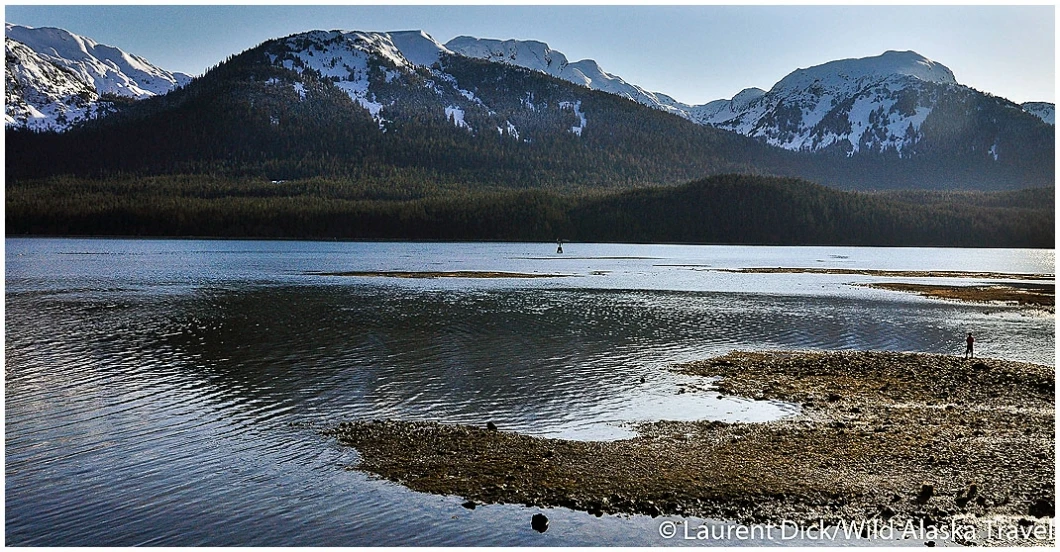 Florian Fishing Sheep Creek and Gastineau Channel - (c) Laurent Dick - Wild Alaska Travel