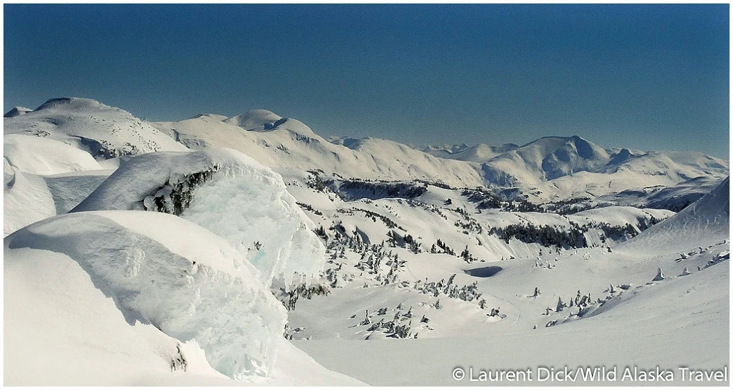 Pittman Ridge Eaglecrest Douglas Island Spring (c) Laurent Dick - Wild Alaska Travel