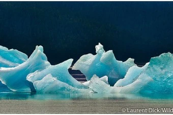 Icebergs Tracy Arm - (c) Laurent Dick - Wild Alaska Travel