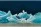 Icebergs Tracy Arm - (c) Laurent Dick - Wild Alaska Travel