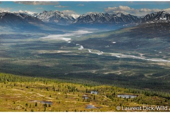 Yanert Valley Aerial - (c) Laurent Dick - Wild Alaska Travel