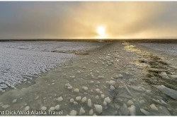 Freeze up Arctic Ocean Kaktovik - Photo (c) Laurent Dick - Wild Alaska Travel