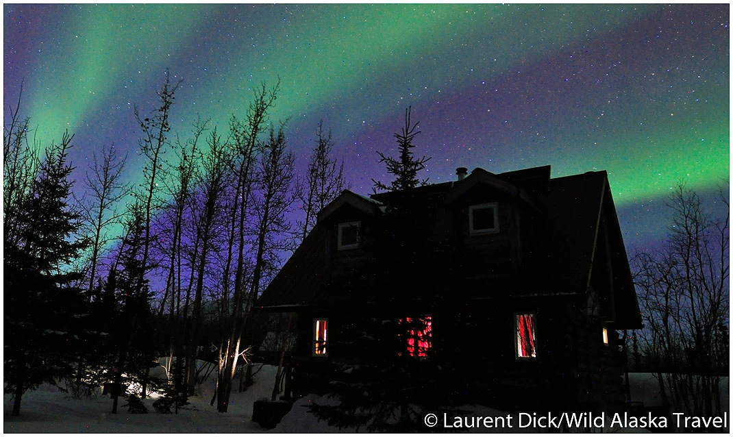 Alaska Aurora Borealis Tour - (c) Laurent Dick - Wild Alaska Travel