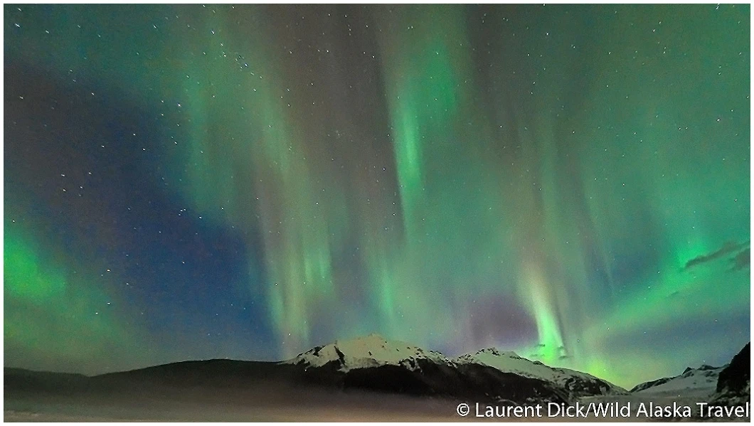 Northern Lights Mendenhall Glacier - Photo (c) Laurent Dick - Wild Alaska Travel
