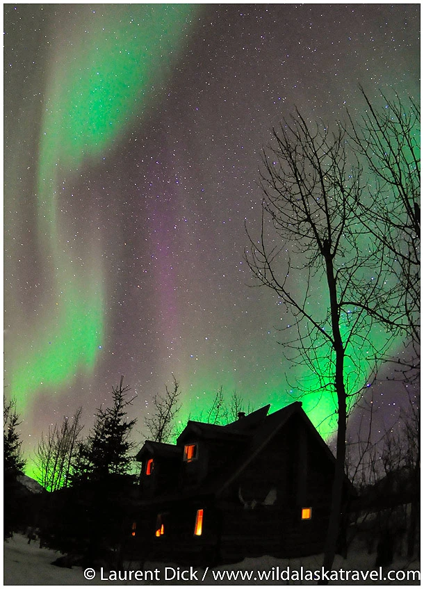 Alaska Northern Lights Tour with Wild Alaska Travel - Photo (c) Laurent Dick