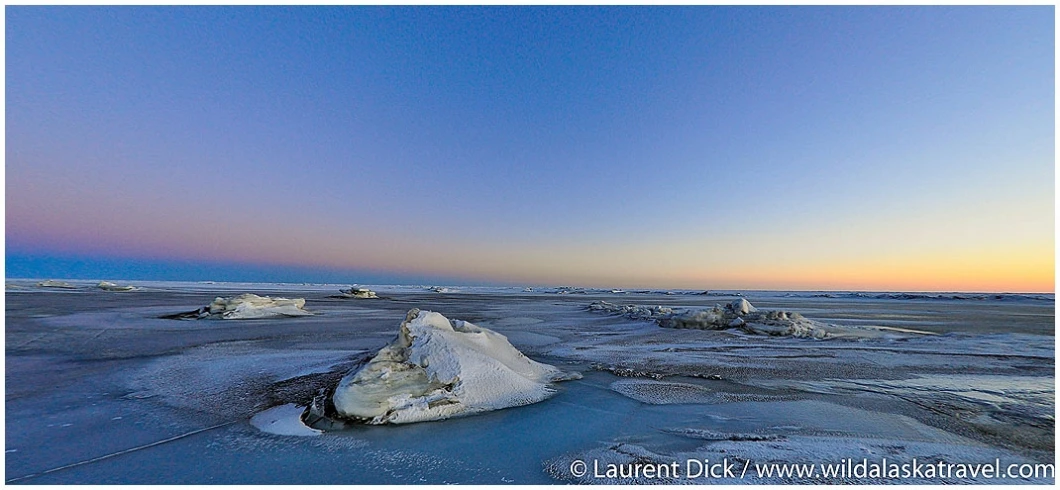 Bering Sea Norton Sound - Photo (c) Laurent Dick - Wild Alaska Travel