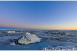 Bering Sea Norton Sound - Photo (c) Laurent Dick - Wild Alaska Travel