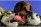 Iditarod Finish Tour Dog Mushing with Wild Alaska Travel - (c) Laurent Dick - Wild Alaska Travel