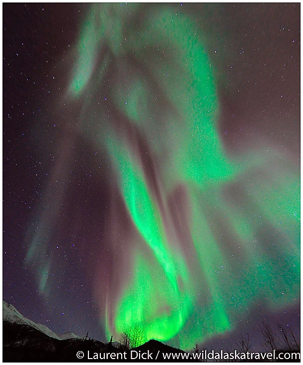 Alaska Northern Lights Tours with Wild Alaska Travel - Photo (c) Laurent Dick