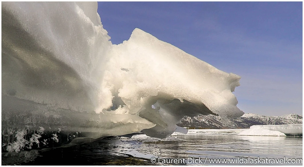 Koyukuk River Ice Formation - Photo (c) Lauret Dick - Wild Alaska Travel