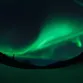 111029 111029
