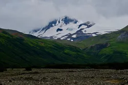 Seasons Greetings from Wild Alaska Travel - Photo (c) Laurent Dick - Wild Alaska Travel