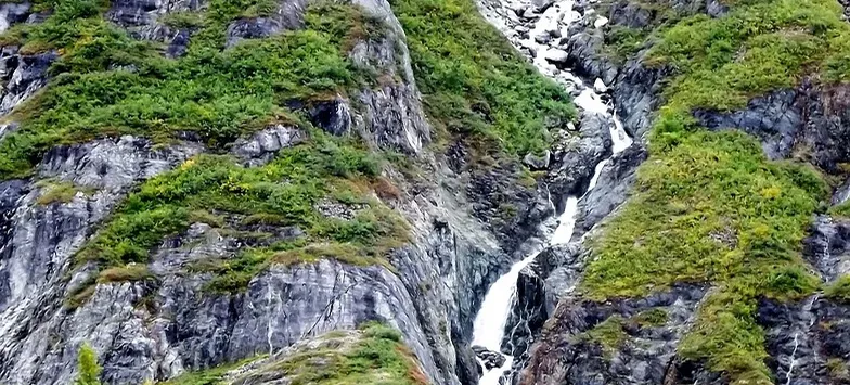 Best Muskxoen Viewing In Alaska with Alaska Travel - Photo (c) Laurent Dick - Wild Alaska Travel