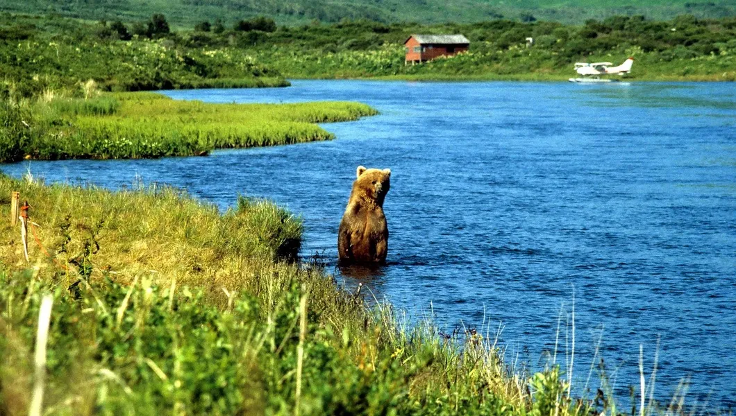 Freeze up Southeast Alaska - Photo (c) Laurent Dick - Wild Alaska Travel