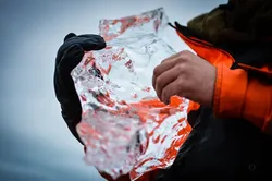 Ice Dog Iceberg Tracy Arm (c) Laurent Dick - Wild Alaska Travel