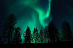 Northern Lights Viewing Chena Hot Springs - Photo (c) Laurent Dick - Wild Alaska Travel
