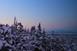 Tidal flats Turnagain Arm Susitna River - (c) Laurent Dick - Wild Alaska Travel