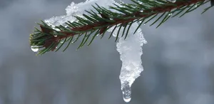 Melting
